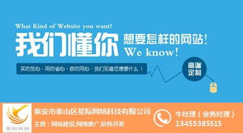 互聯網營銷與銷售領域中的星際網絡及其行業解析